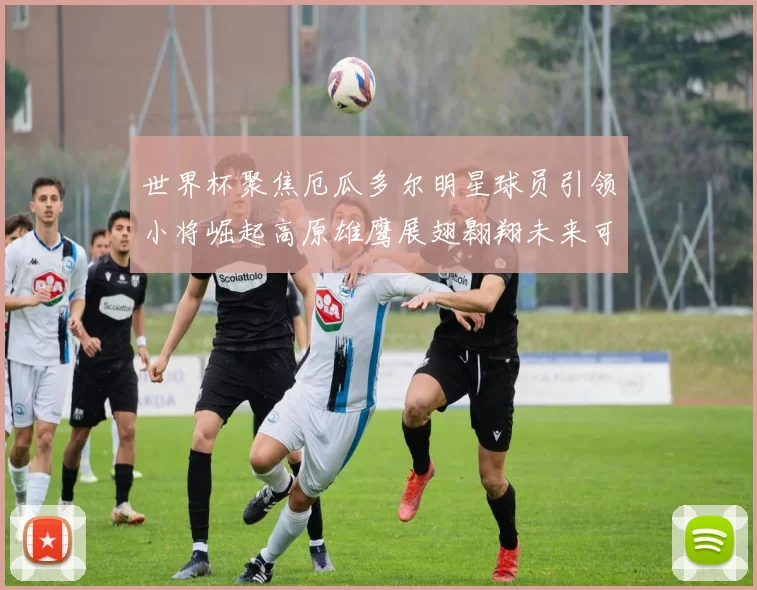世界杯聚焦厄瓜多尔明星球员引领小将崛起高原雄鹰展翅翱翔未来可期